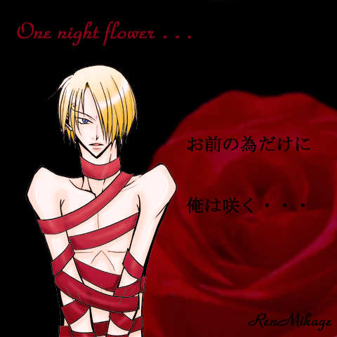 One night flower